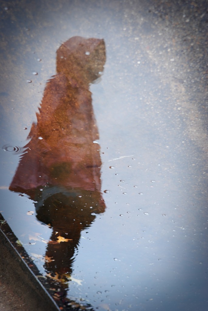 Reflections in the Rain